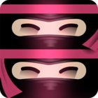 The Last Ninja Twins MOD unlocked